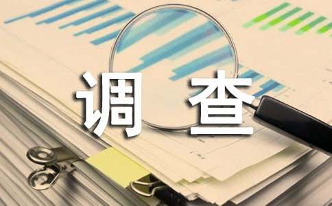 有关调查报告作文300字集锦6篇