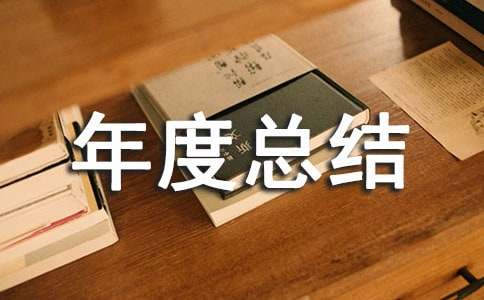 文化年度总结6篇