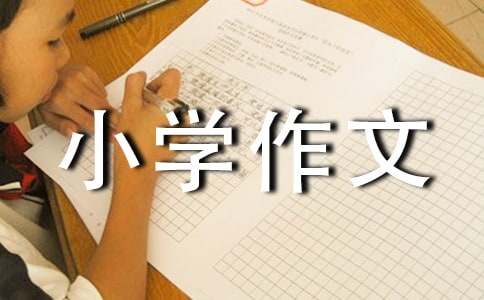 雨中情小学作文600字（通用21篇）