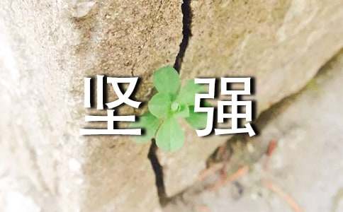 我懂得了坚强作文(集合10篇)