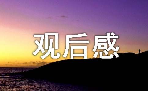 攀登者观后感(精选15篇)