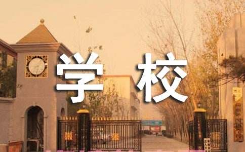 小学学校安全工作总结（通用20篇）