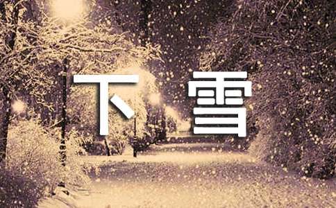 下雪的作文(集锦15篇)