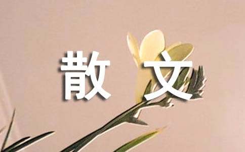 名家散文精选并加赏析