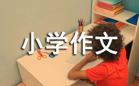 那一节课小学作文350字