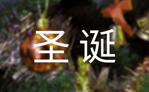 圣诞节活动方案(精选15篇)