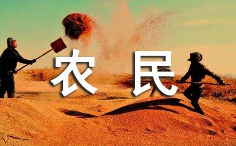 农民工的调查报告范文（精选10篇）