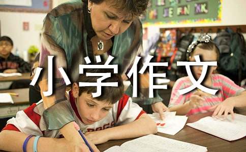 并不平凡小学作文五篇