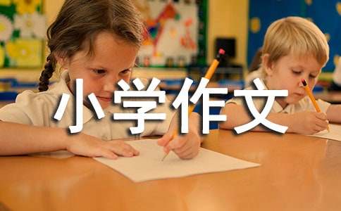 关于我们的故事小学作文3篇