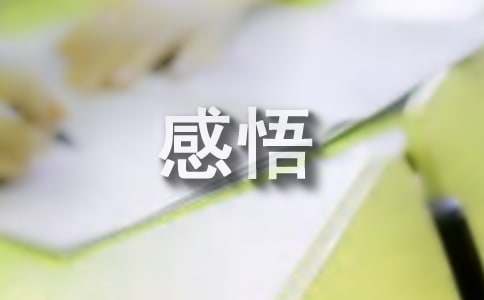 生活感悟文章（通用20篇）