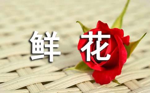 《开满鲜花的小路》教案