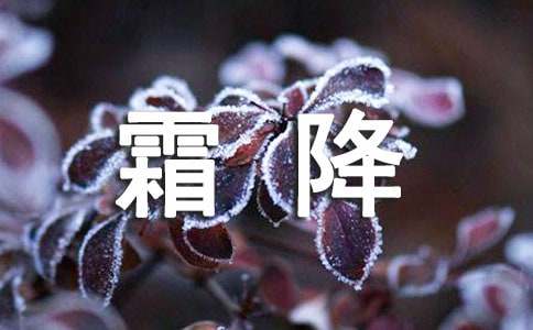 霜降节气的问候语