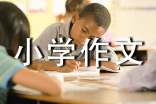 小学作文集的序言范文通用