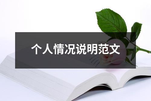 个人情况说明范文