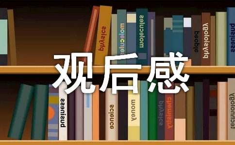 观后感300字左右