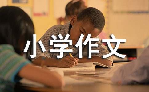 我走进了动物王国小学作文